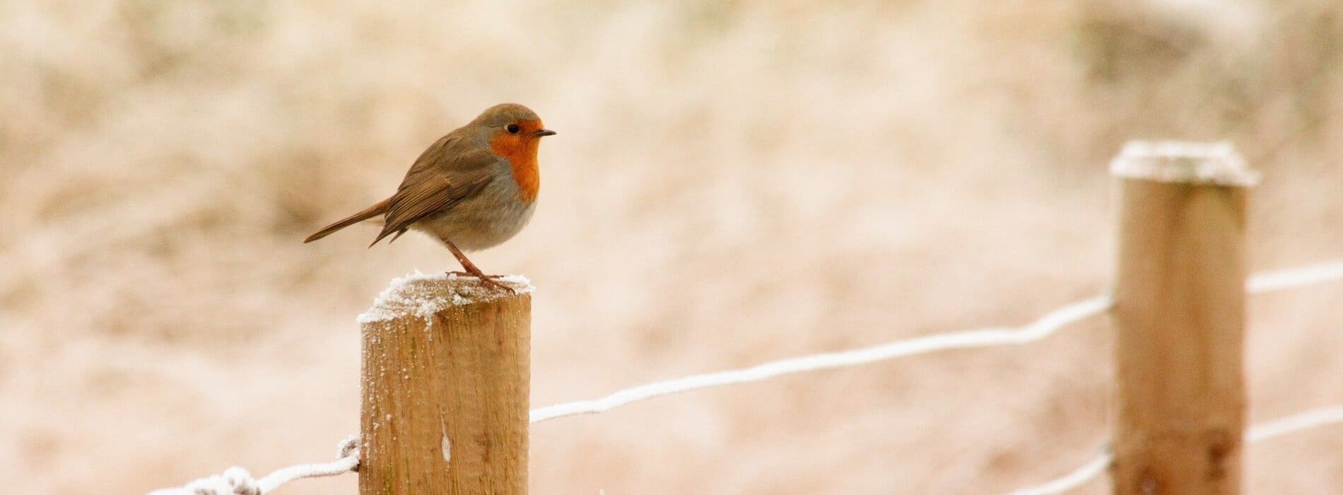 Servicoop, paysagiste en Vendée