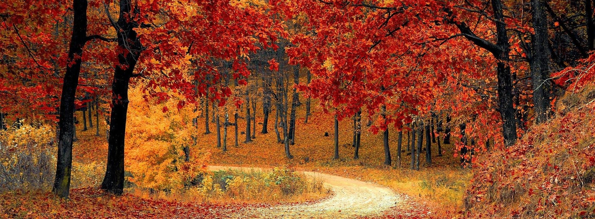 Servicoop, paysagiste en Vendée