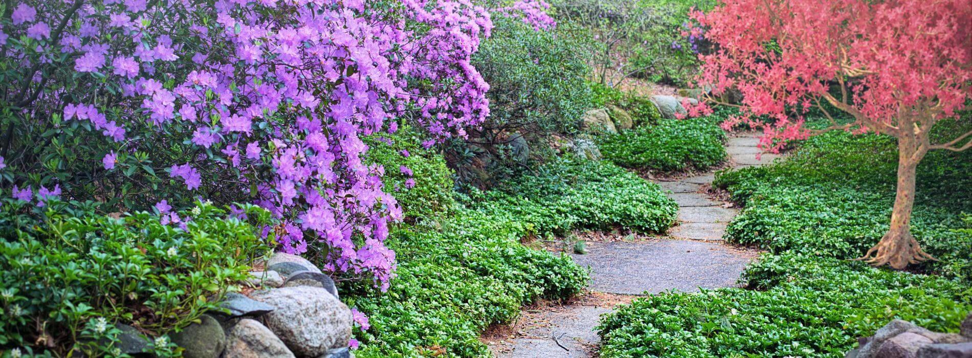 Servicoop, paysagiste en Vendée