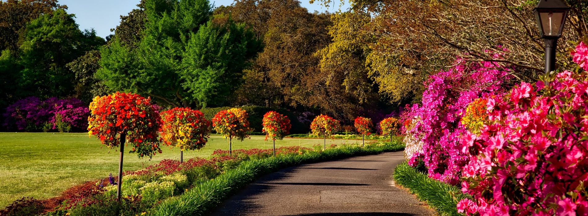 Servicoop, paysagiste en Vendée